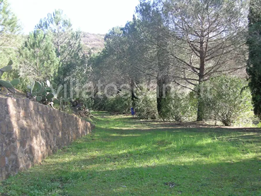 Immagine 13 di Casa indipendente in vendita  a Castiglione Della Pescaia