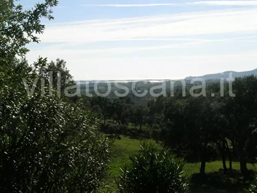 Immagine 14 di Casa indipendente in vendita  a Castiglione Della Pescaia