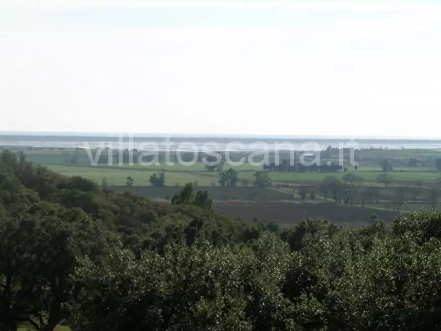 Immagine 15 di Casa indipendente in vendita  a Castiglione Della Pescaia