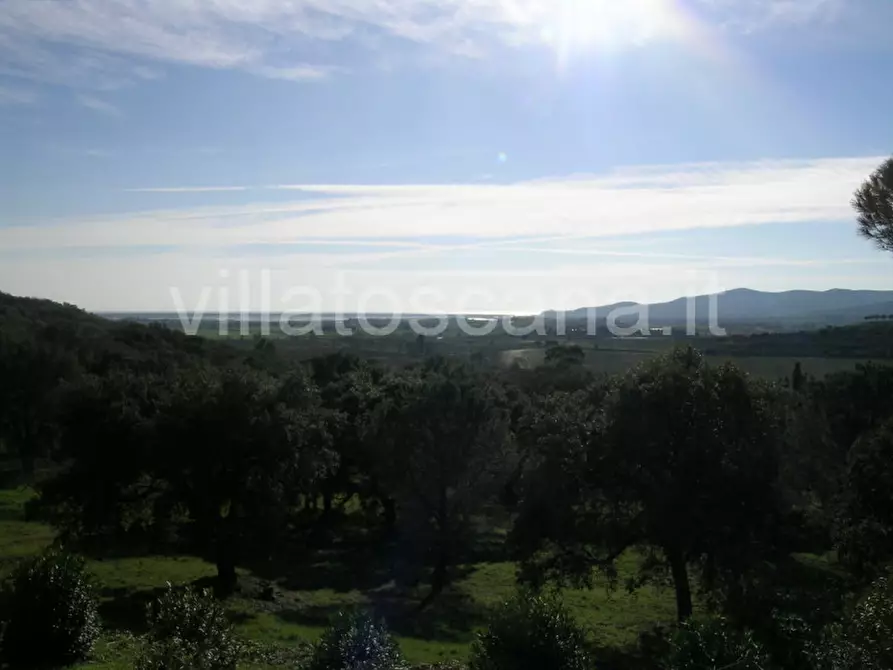 Immagine 16 di Casa indipendente in vendita  a Castiglione Della Pescaia