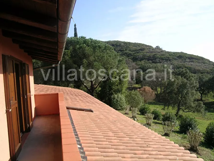 Immagine 30 di Casa indipendente in vendita  a Castiglione Della Pescaia
