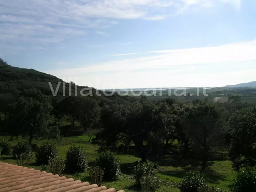 Immagine 38 di Casa indipendente in vendita  a Castiglione Della Pescaia