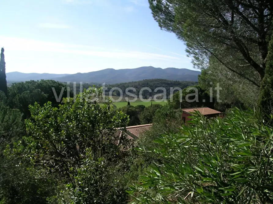 Immagine 41 di Casa indipendente in vendita  a Castiglione Della Pescaia