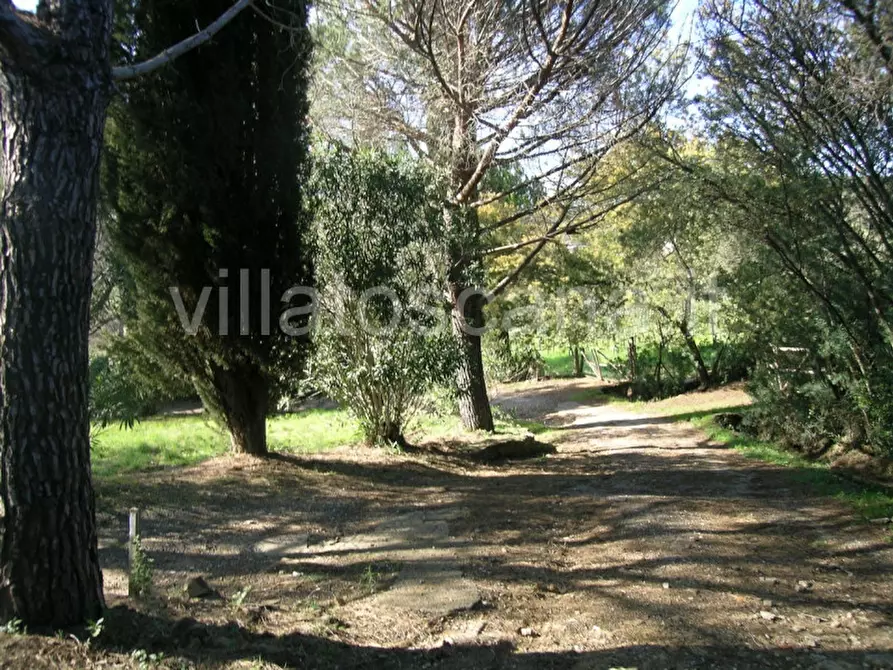 Immagine 42 di Casa indipendente in vendita  a Castiglione Della Pescaia