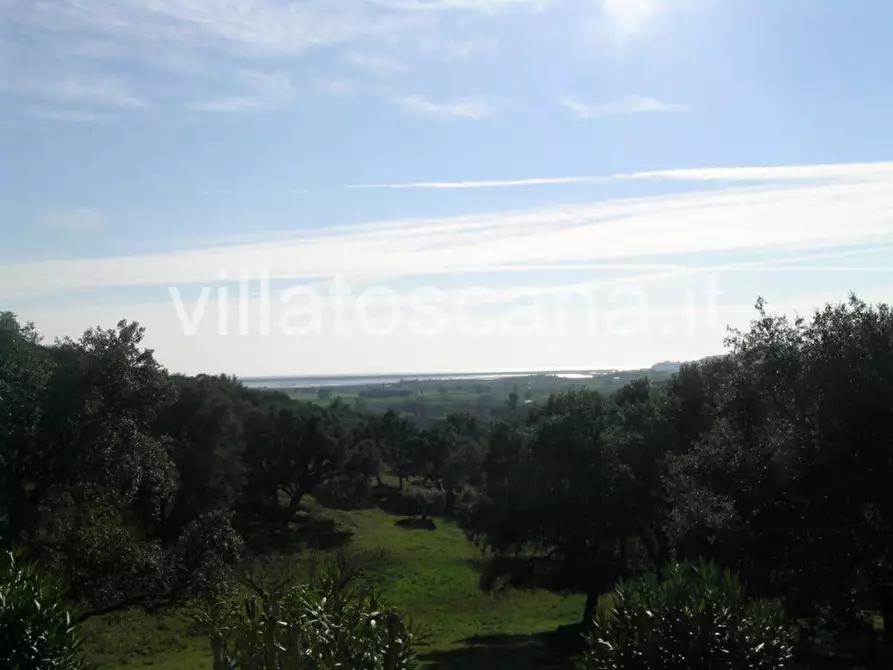 Immagine 45 di Casa indipendente in vendita  a Castiglione Della Pescaia