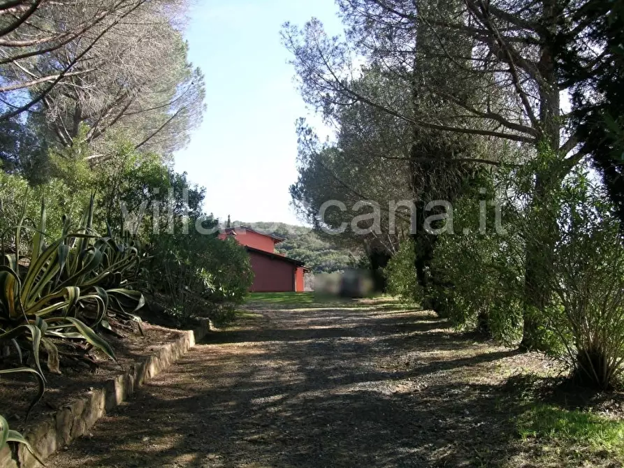 Immagine 46 di Casa indipendente in vendita  a Castiglione Della Pescaia