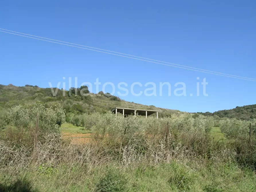 Immagine 48 di Casa indipendente in vendita  a Castiglione Della Pescaia