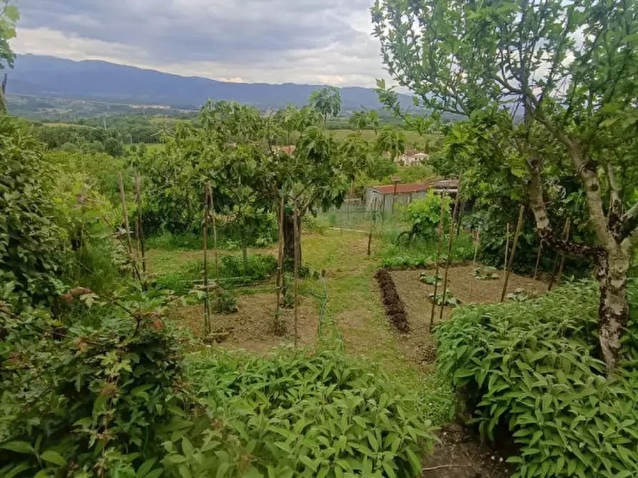 Immagine 4 di Appartamento in vendita  in ponticino a Laterina Pergine Valdarno