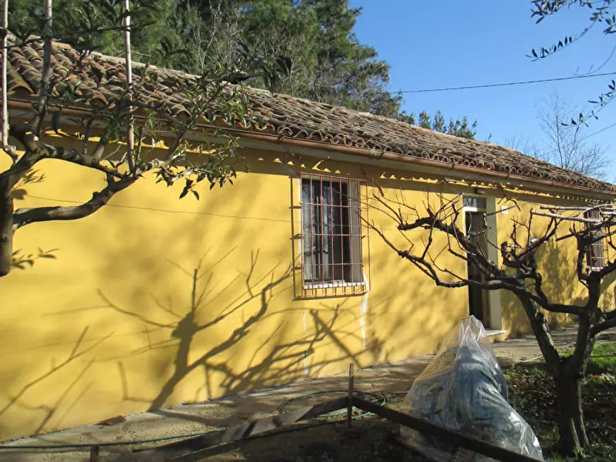 Immagine 32 di Casa indipendente in vendita  a Ostra