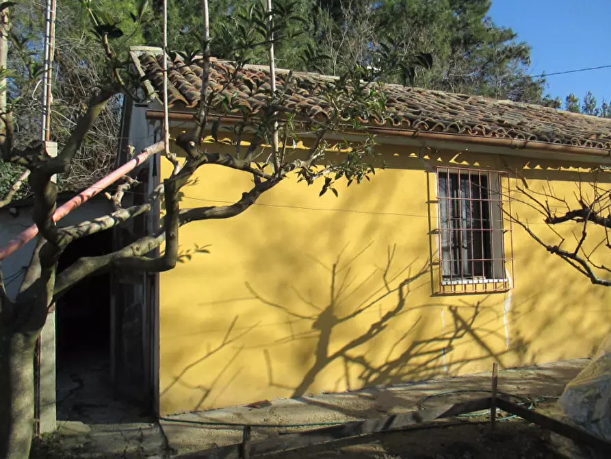 Immagine 33 di Casa indipendente in vendita  a Ostra