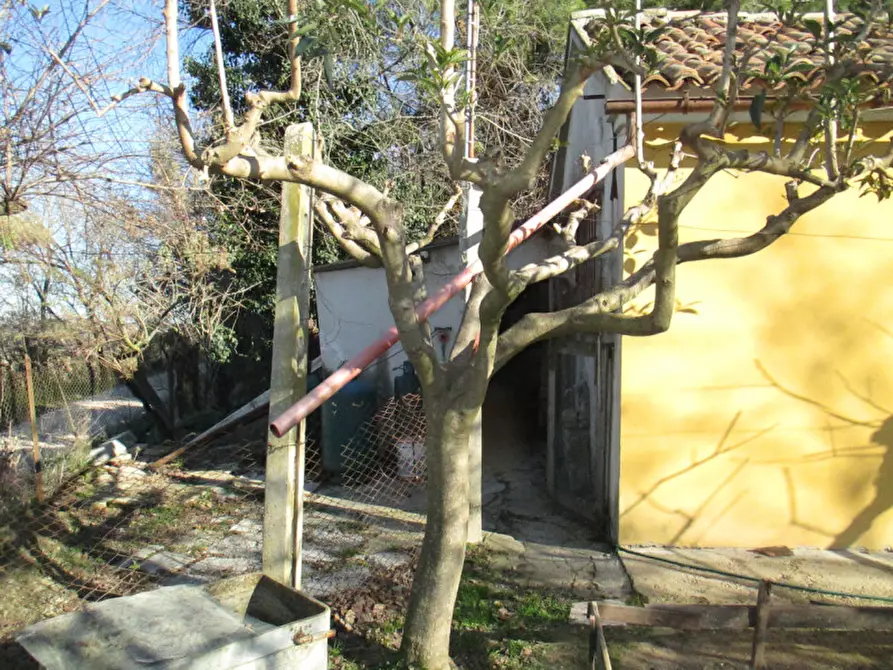 Immagine 34 di Casa indipendente in vendita  a Ostra