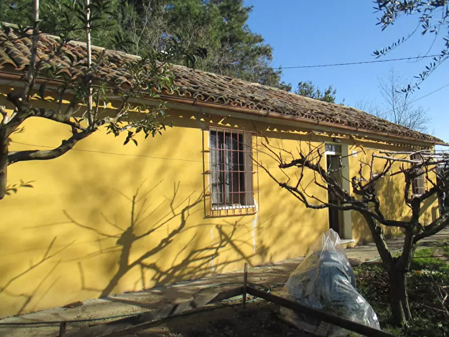 Immagine 35 di Casa indipendente in vendita  a Ostra