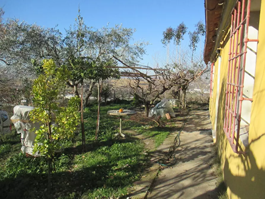 Immagine 36 di Casa indipendente in vendita  a Ostra