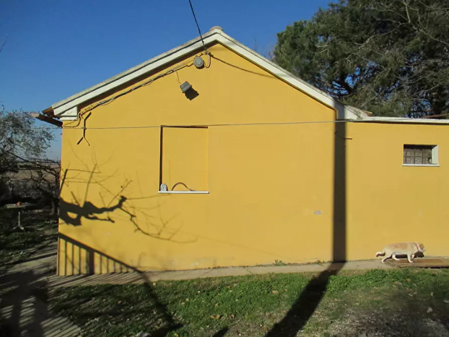 Immagine 38 di Casa indipendente in vendita  a Ostra