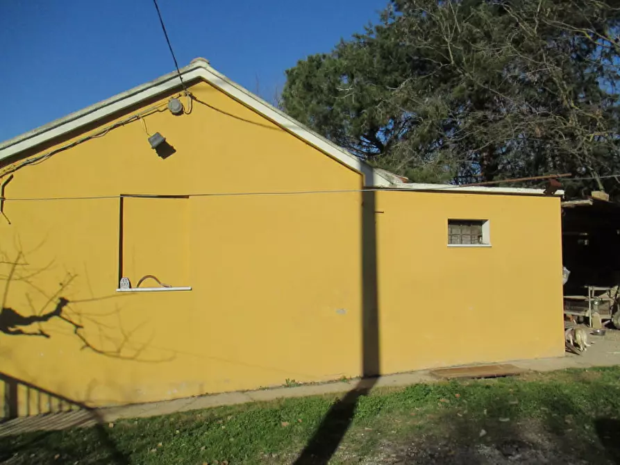 Immagine 40 di Casa indipendente in vendita  a Ostra