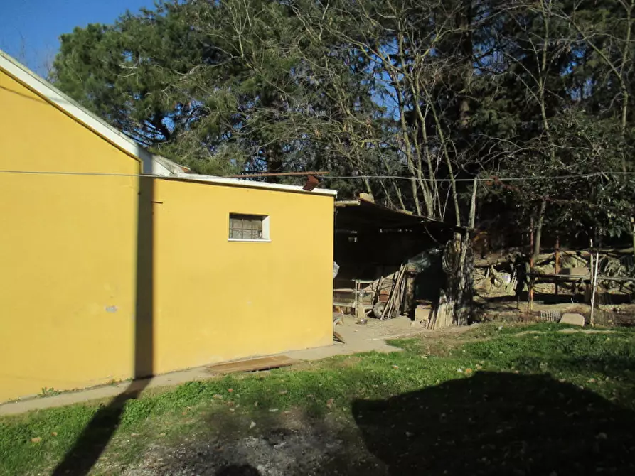 Immagine 41 di Casa indipendente in vendita  a Ostra