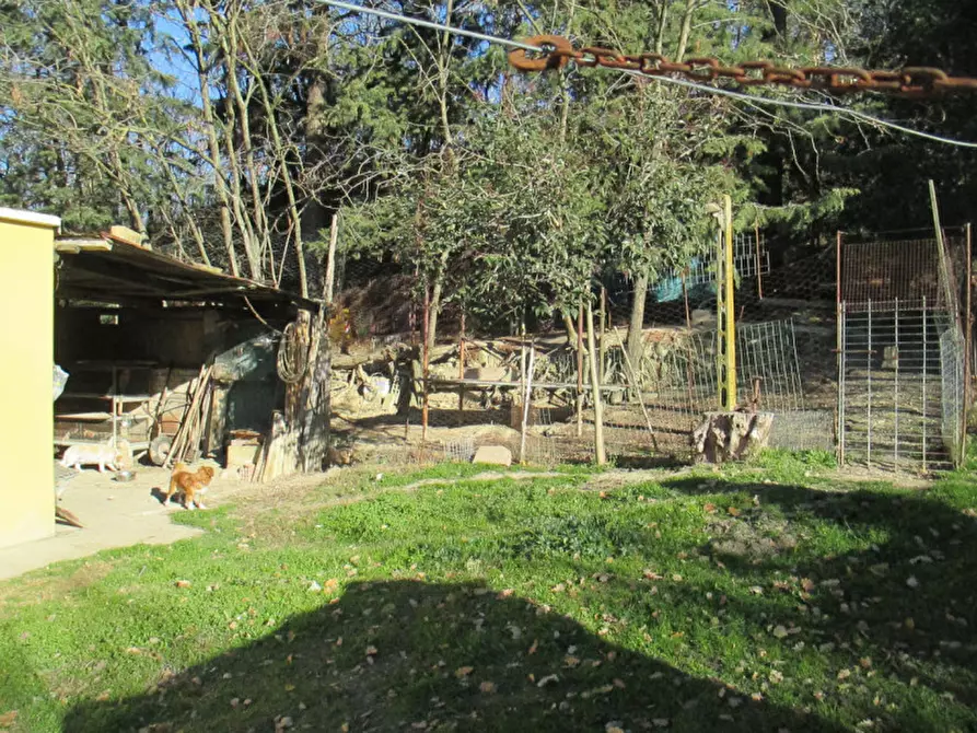 Immagine 43 di Casa indipendente in vendita  a Ostra