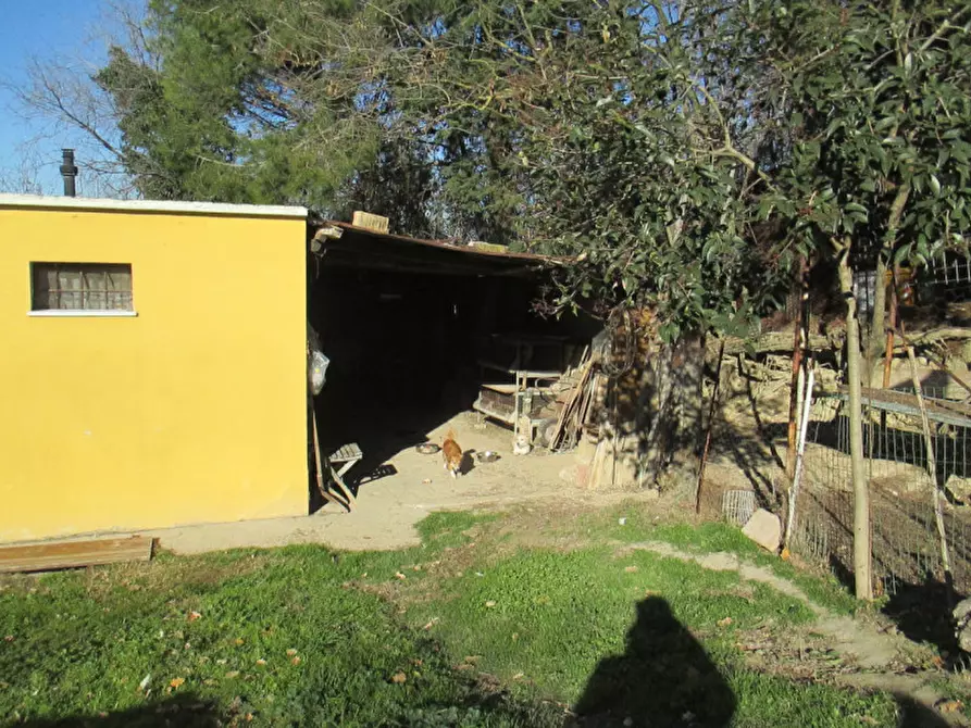 Immagine 44 di Casa indipendente in vendita  a Ostra