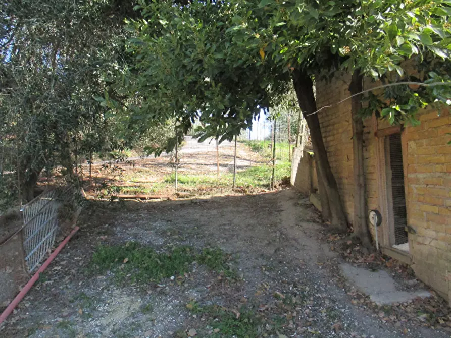 Immagine 46 di Casa indipendente in vendita  a Ostra