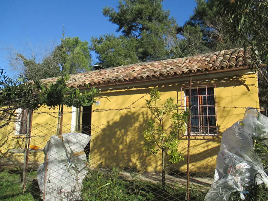 Immagine 51 di Casa indipendente in vendita  a Ostra