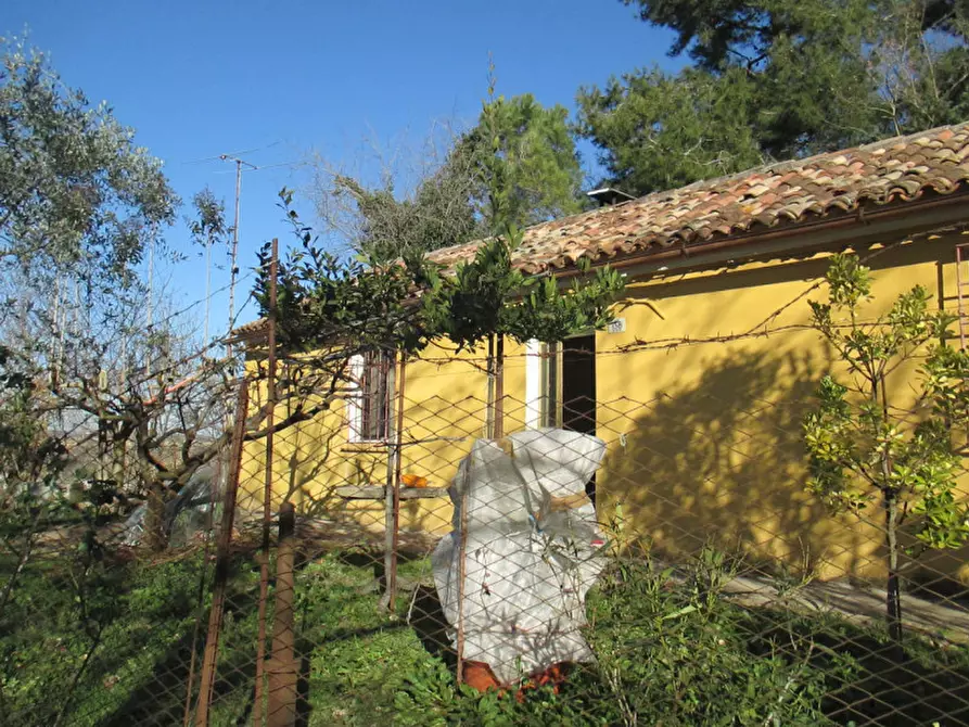 Immagine 52 di Casa indipendente in vendita  a Ostra