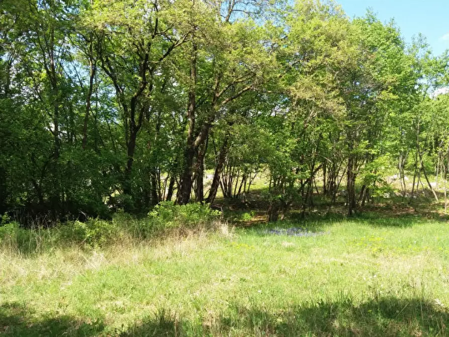 Immagine 2 di Terreno in vendita  a Villaga