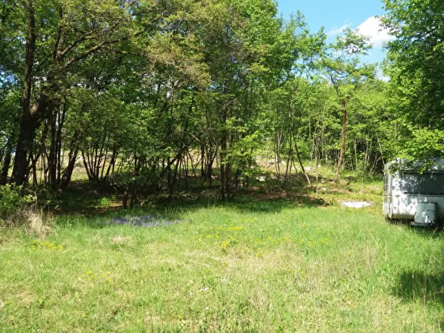 Immagine 3 di Terreno in vendita  a Villaga