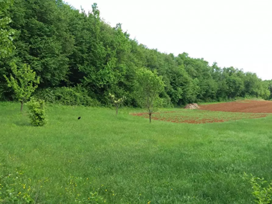 Immagine 5 di Terreno in vendita  a Villaga