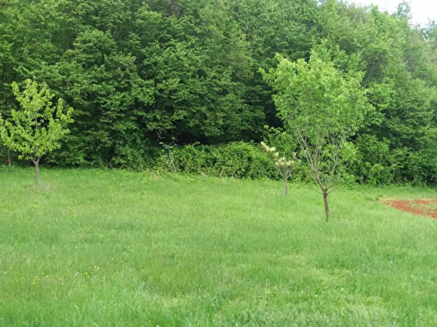 Immagine 6 di Terreno in vendita  a Villaga