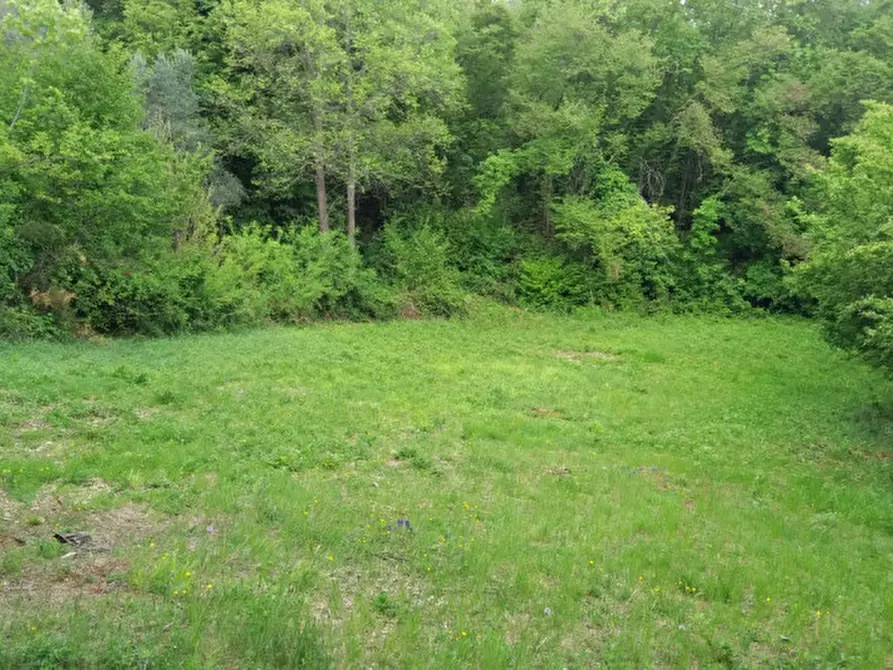 Immagine 7 di Terreno in vendita  a Villaga