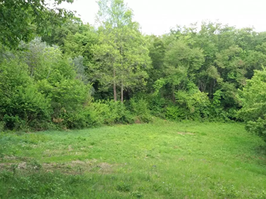Immagine 8 di Terreno in vendita  a Villaga