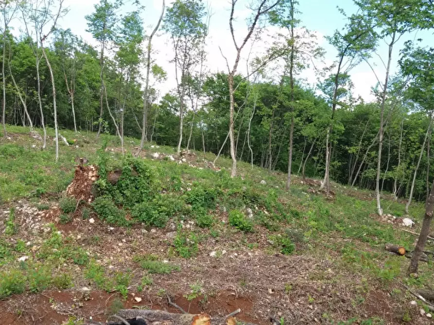 Immagine 9 di Terreno in vendita  a Villaga