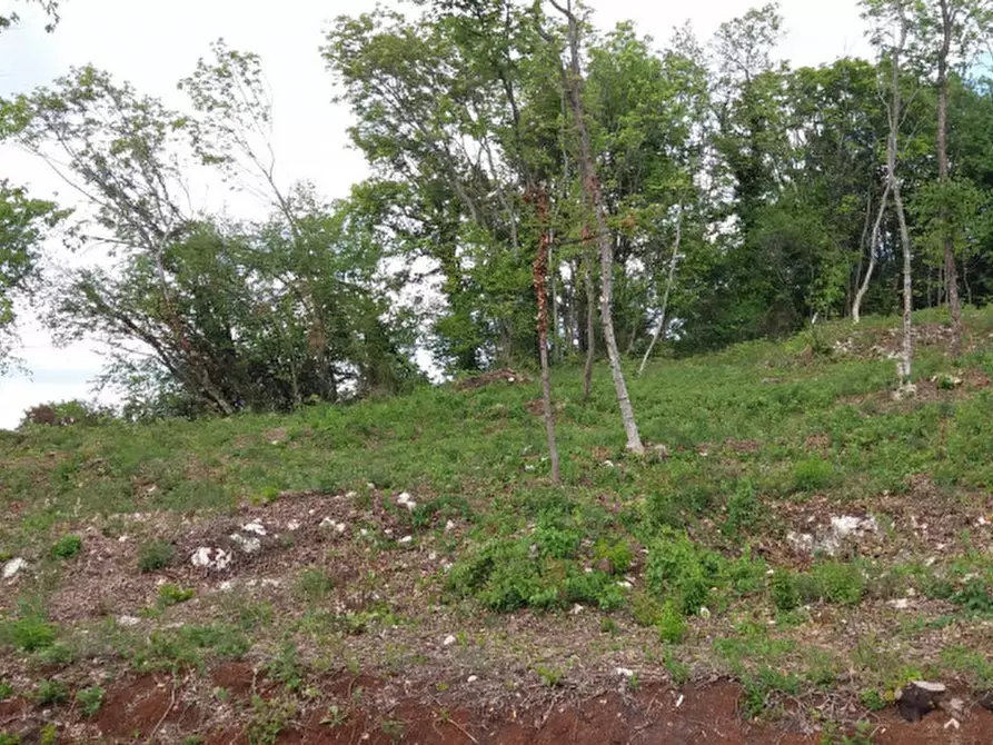 Immagine 10 di Terreno in vendita  a Villaga