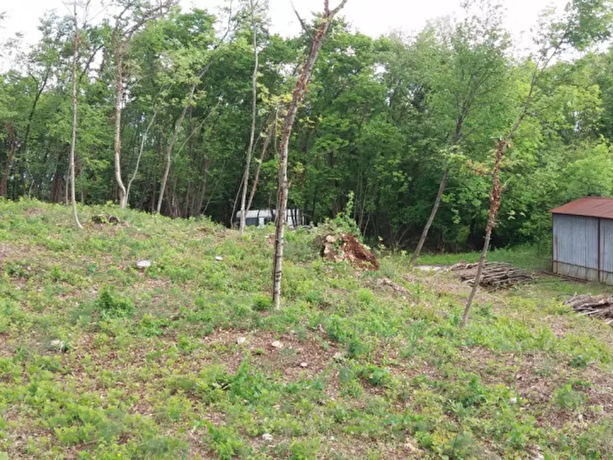 Immagine 11 di Terreno in vendita  a Villaga