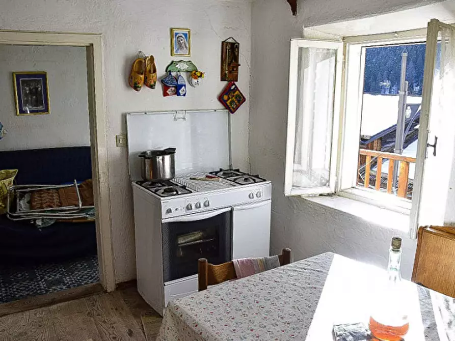 Immagine 11 di Casa indipendente in vendita  in Somrabbi a Rabbi