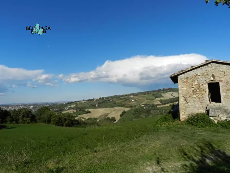 Immagine 5 di Rustico / casale in vendita  a Meldola