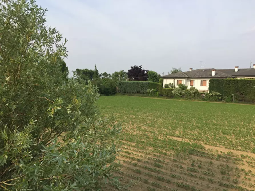 Immagine 3 di Terreno in vendita  a Rovolon