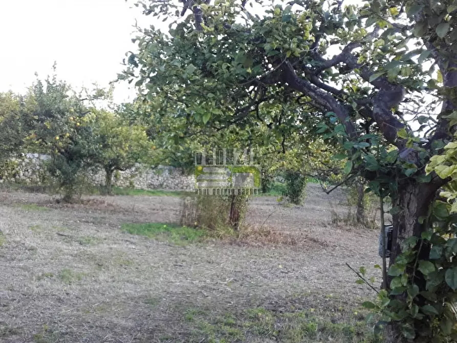 Immagine 3 di Terreno in vendita  in c/da Gallina a Avola