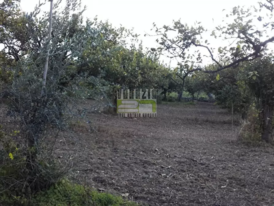 Immagine 6 di Terreno in vendita  in c/da Gallina a Avola