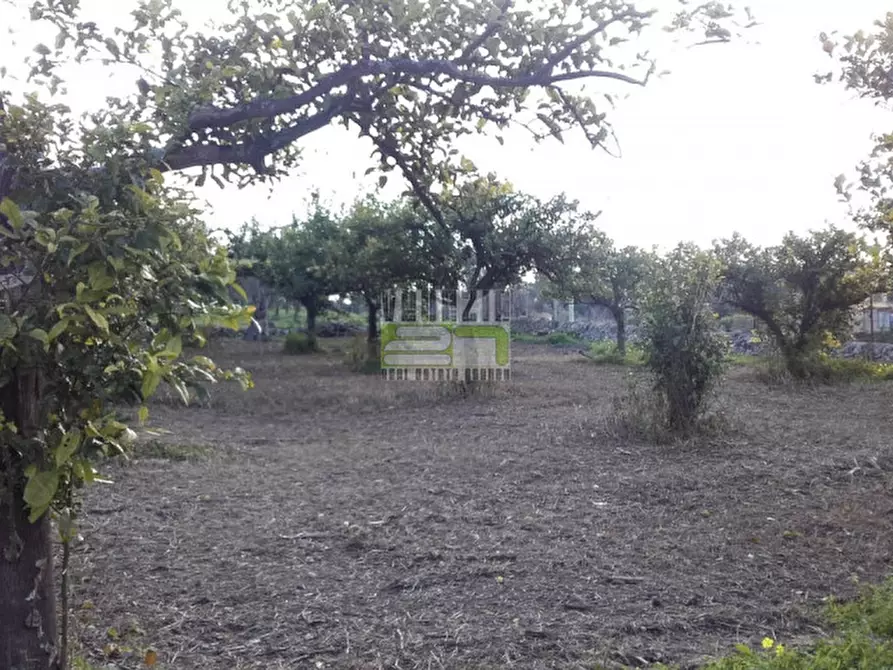 Immagine 7 di Terreno in vendita  in c/da Gallina a Avola