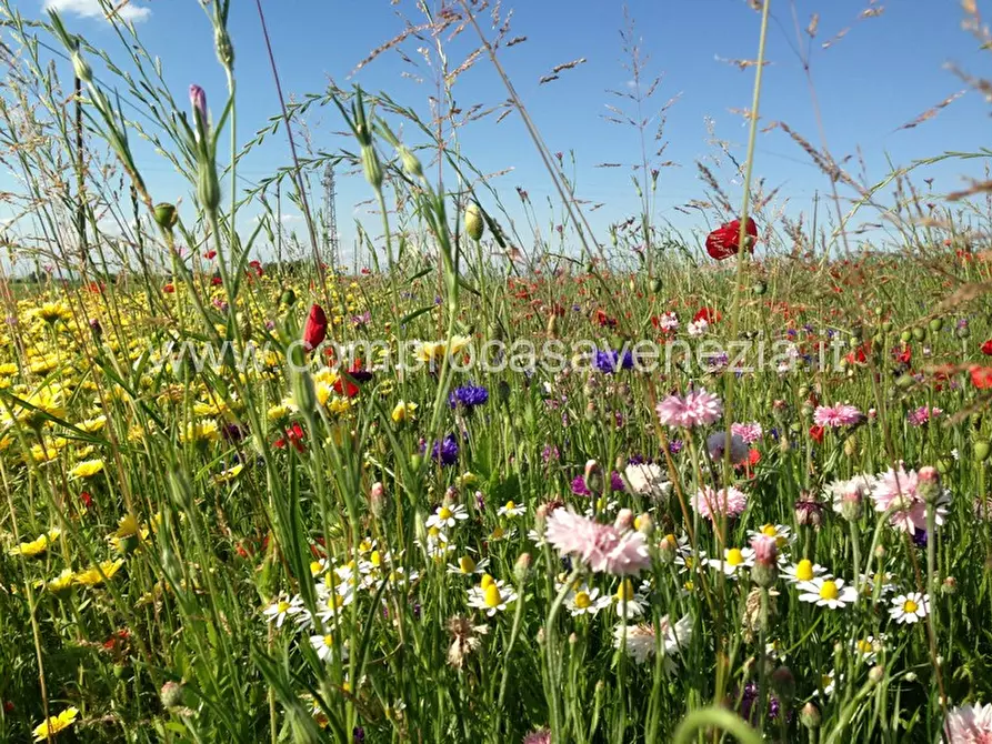 Immagine 1 di Terreno in vendita  in zermanese a Casier