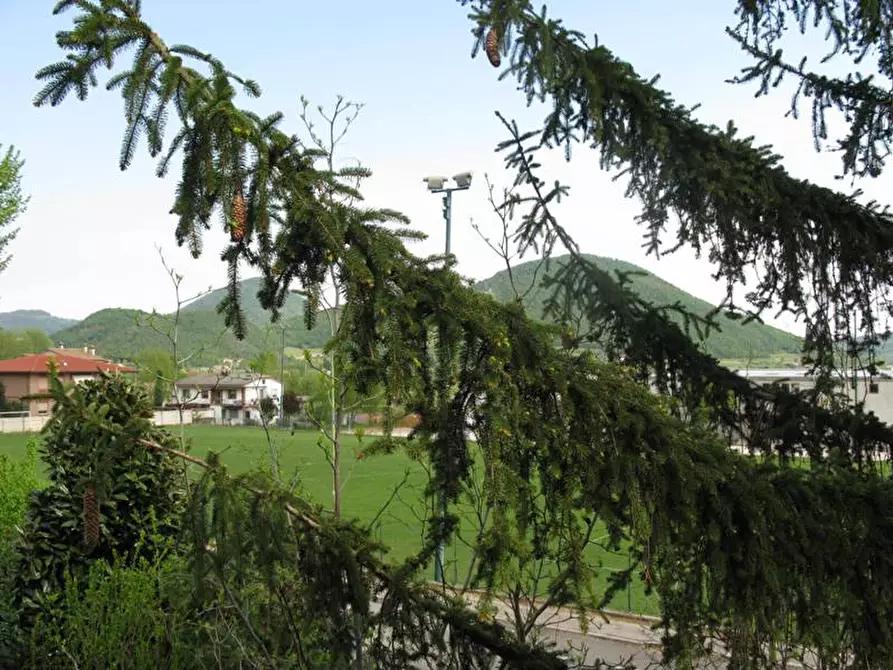 Immagine 10 di Appartamento in vendita  in VIA FONTANON a Lozzo Atestino