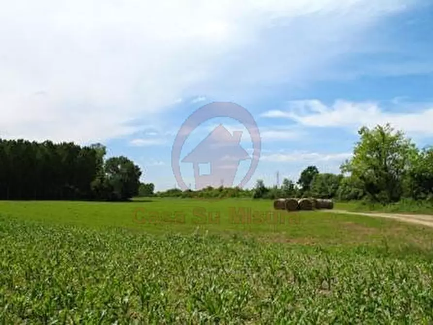 Immagine 2 di Terreno in vendita  in via Boito a Vigodarzere