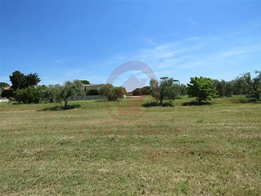 Immagine 3 di Terreno in vendita  in via Boito a Vigodarzere