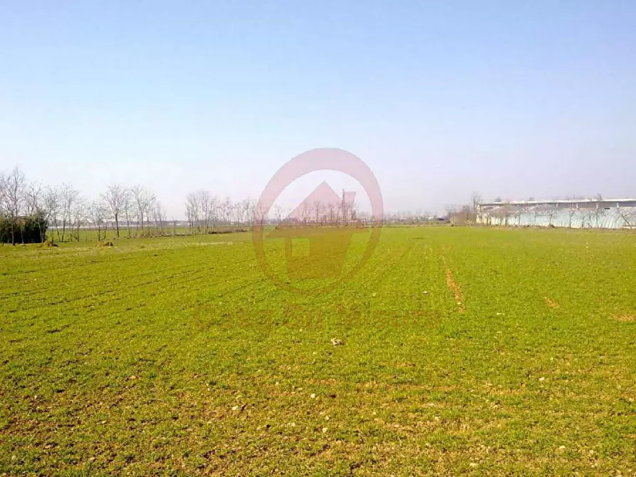 Immagine 5 di Terreno in vendita  in via Boito a Vigodarzere