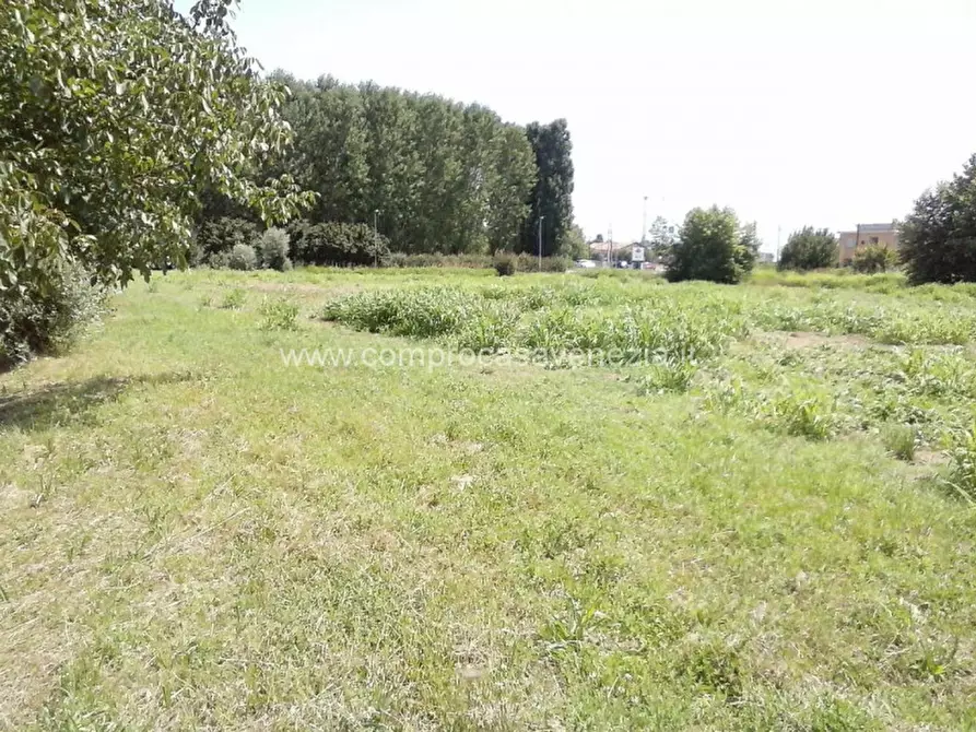 Immagine 1 di Terreno in vendita  in TRENTO TRIESTE a Casale Sul Sile