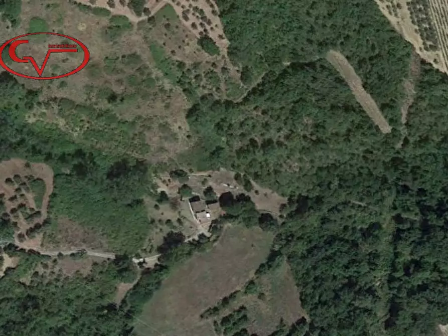 Immagine 45 di Villa in vendita  in 5 km a Figline E Incisa Valdarno