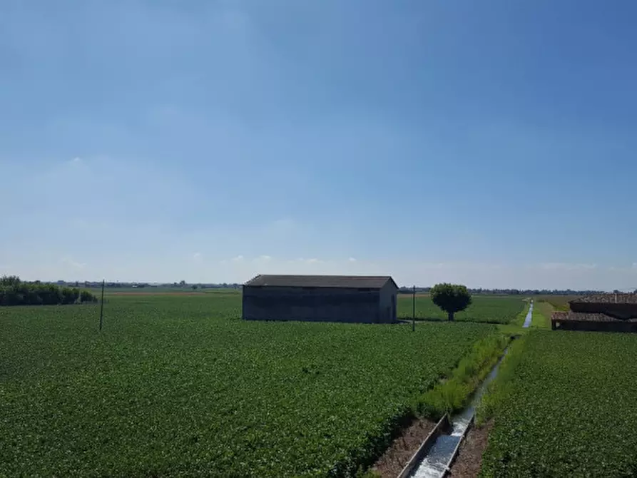 Immagine 2 di Terreno in vendita  in Via 28 aprile a Vescovana