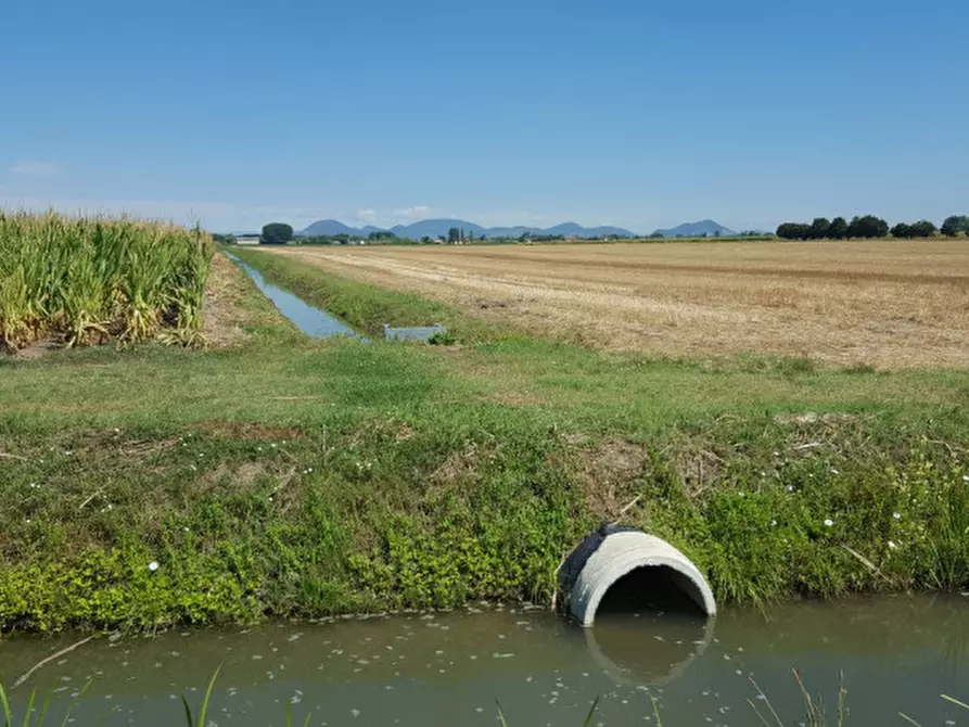 Immagine 5 di Terreno in vendita  in Via 28 aprile a Vescovana