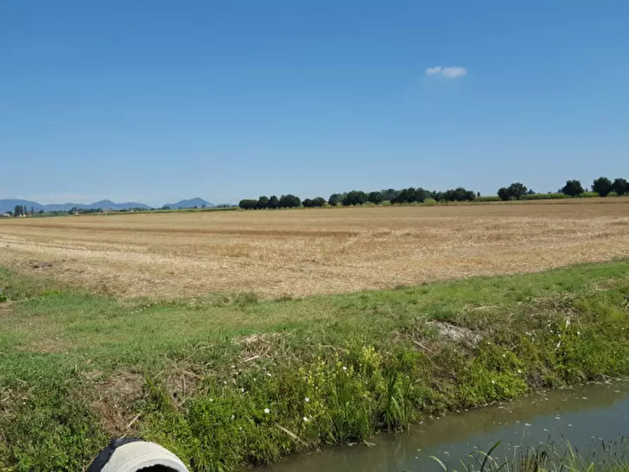 Immagine 6 di Terreno in vendita  in Via 28 aprile a Vescovana